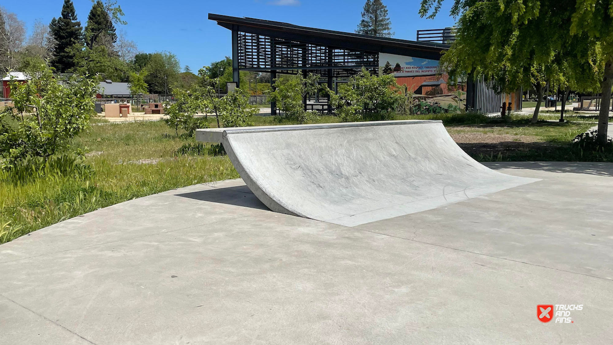 Bayer Skatepark